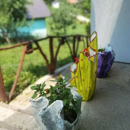 Semesterbostad Ravne Visoko