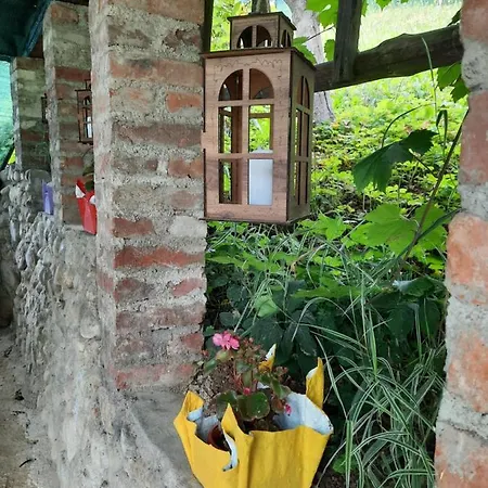 Ravne Holiday home *