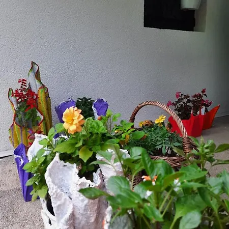 Ravne Semesterbostad