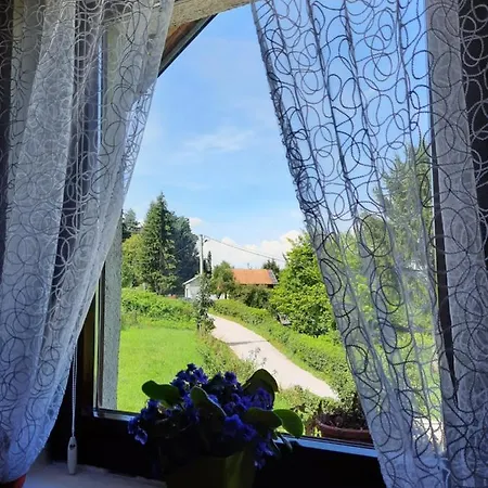 Ravne Holiday home