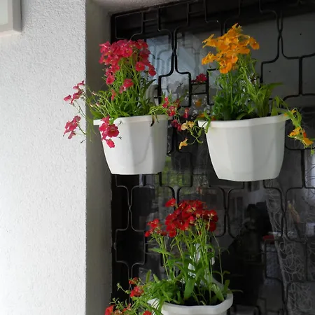 Holiday home Ravne Visoko